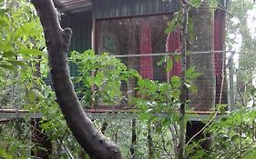 The Green Tree B&B